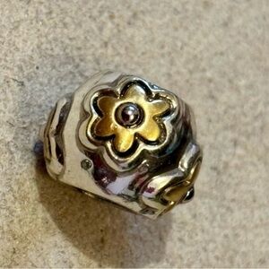 🆕Listing! Brighton Daisy bead with Gold raised flowers on silver Retired